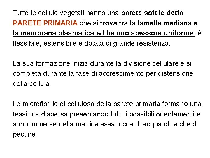 Tutte le cellule vegetali hanno una parete sottile detta PARETE PRIMARIA che si trova