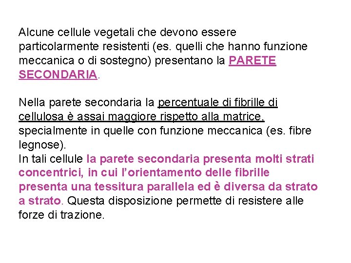 Alcune cellule vegetali che devono essere particolarmente resistenti (es. quelli che hanno funzione meccanica
