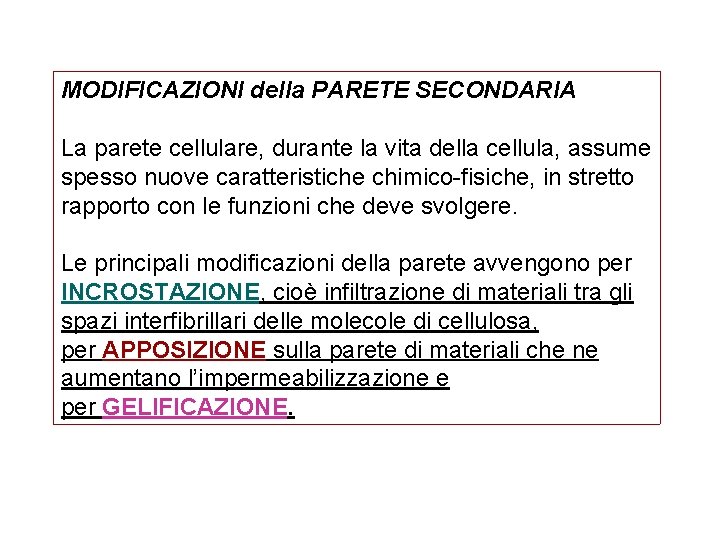 MODIFICAZIONI della PARETE SECONDARIA La parete cellulare, durante la vita della cellula, assume spesso