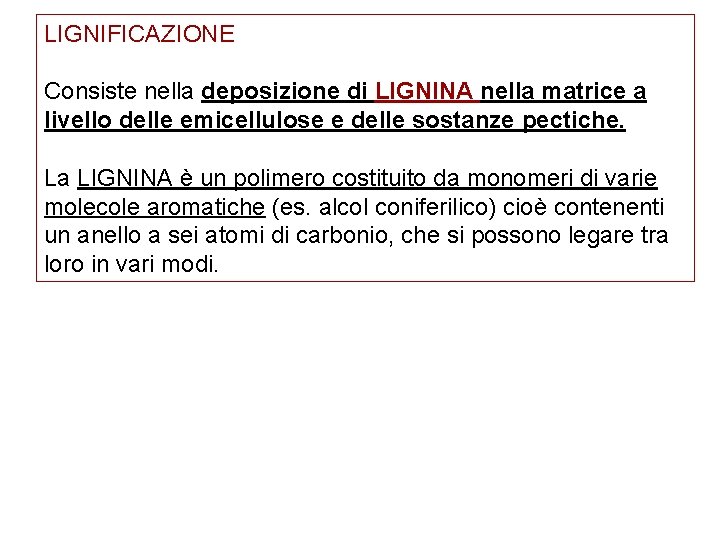 LIGNIFICAZIONE Consiste nella deposizione di LIGNINA nella matrice a livello delle emicellulose e delle