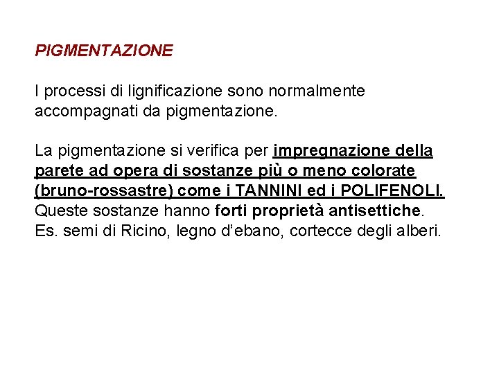 PIGMENTAZIONE I processi di lignificazione sono normalmente accompagnati da pigmentazione. La pigmentazione si verifica