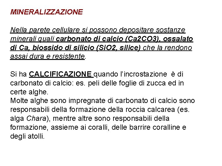 MINERALIZZAZIONE Nella parete cellulare si possono depositare sostanze minerali quali carbonato di calcio (Ca