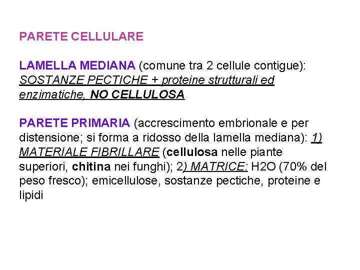 PARETE CELLULARE LAMELLA MEDIANA (comune tra 2 cellule contigue): SOSTANZE PECTICHE + proteine strutturali
