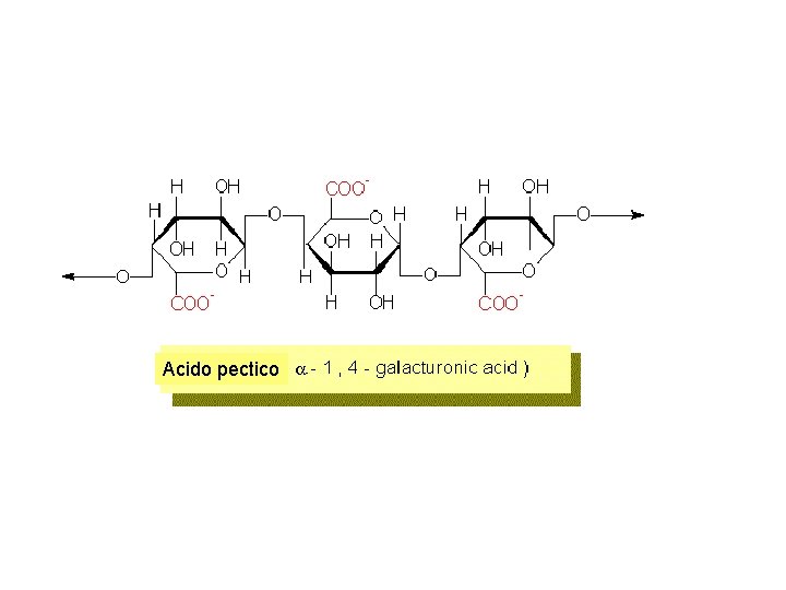 Acido pectico 