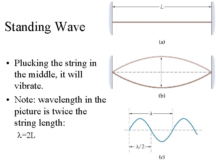 Standing Wave • Plucking the string in the middle, it will vibrate. • Note: Standing Wave • Plucking the string in the middle, it will vibrate. • Note: