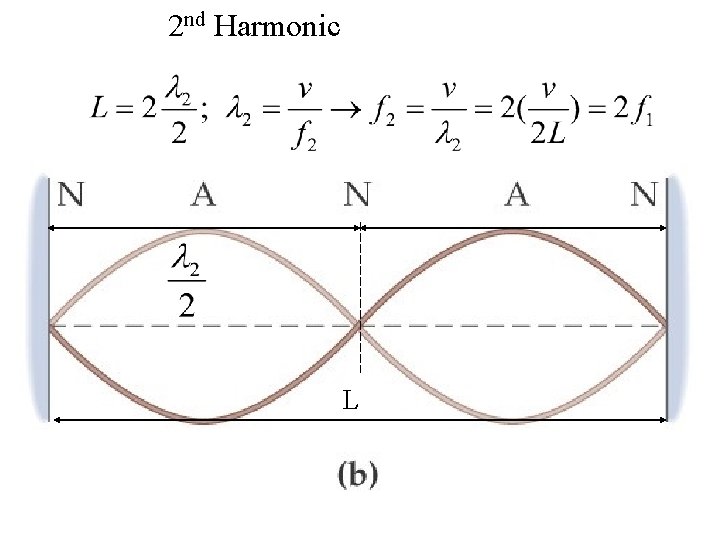 2 nd Harmonic L 2 nd Harmonic L