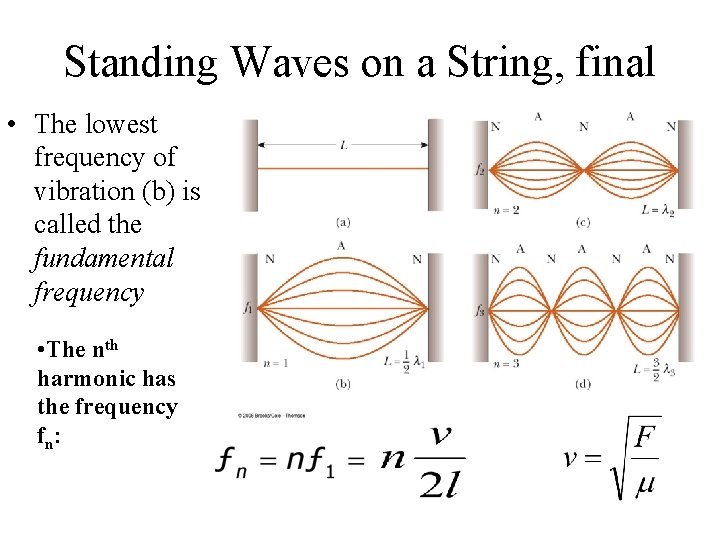Standing Waves on a String, final • The lowest frequency of vibration (b) is Standing Waves on a String, final • The lowest frequency of vibration (b) is