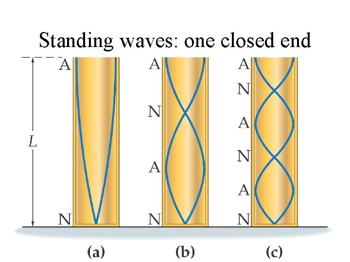 Standing waves: one closed end Standing waves: one closed end