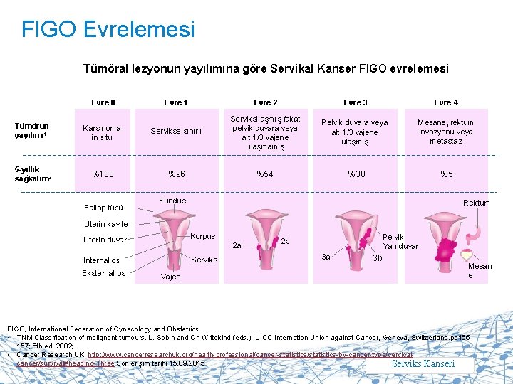 FIGO Evrelemesi Tümöral lezyonun yayılımına göre Servikal Kanser FIGO evrelemesi Evre 0 Evre 1