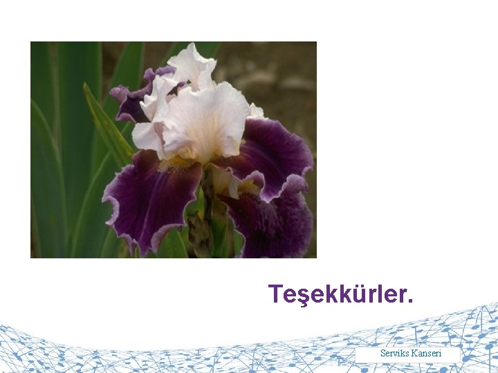 Teşekkürler. Serviks Kanseri 