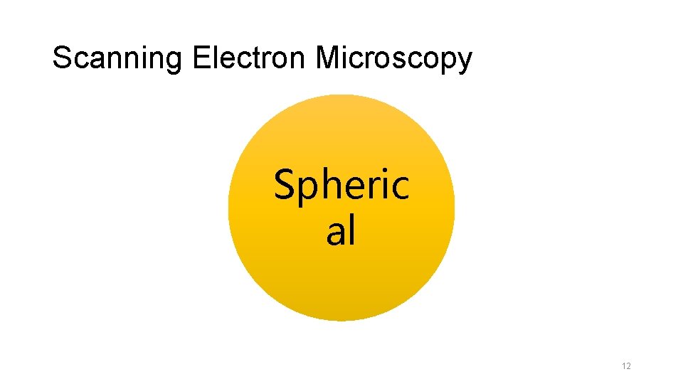 Scanning Electron Microscopy Spheric al 12 