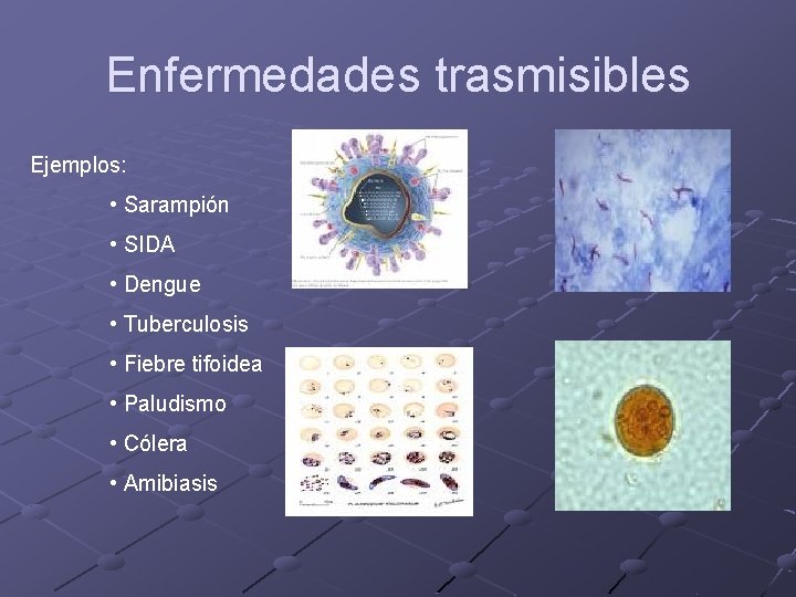 Enfermedades trasmisibles Ejemplos: • Sarampión • SIDA • Dengue • Tuberculosis • Fiebre tifoidea