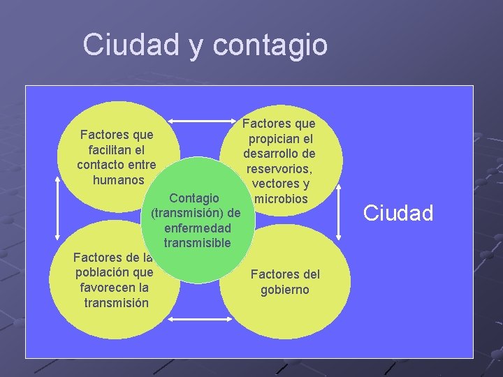 Ciudad y contagio Factores que facilitan el contacto entre humanos Factores que propician el