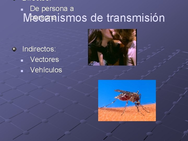 Directos: n De persona a persona Mecanismos Indirectos: n Vectores n Vehículos de transmisión