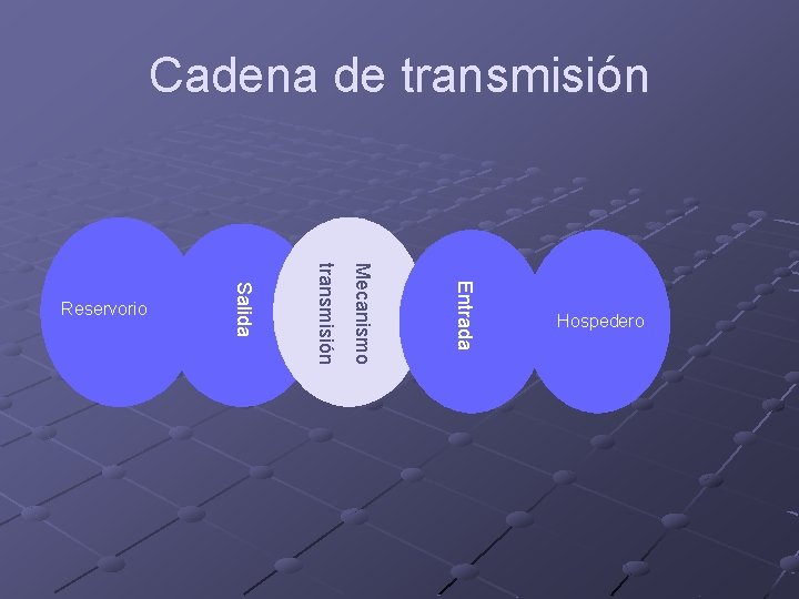 Cadena de transmisión Entrada Mecanismo transmisión Salida Reservorio Hospedero 