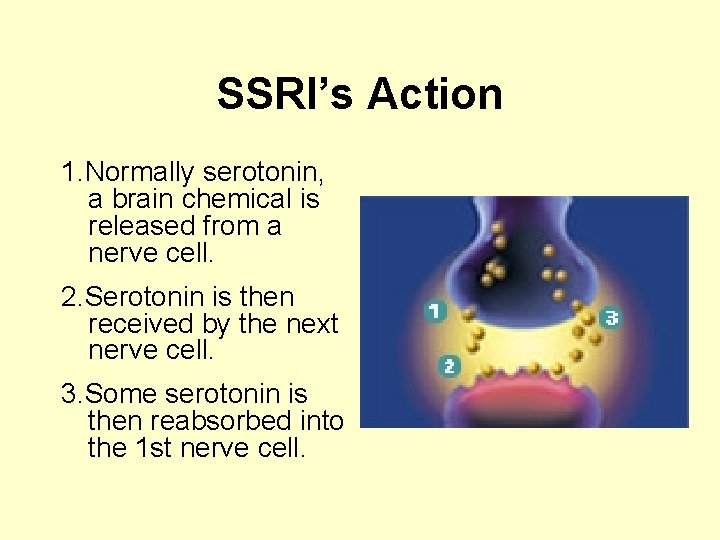 SSRI’s Action 1. Normally serotonin, a brain chemical is released from a nerve cell.