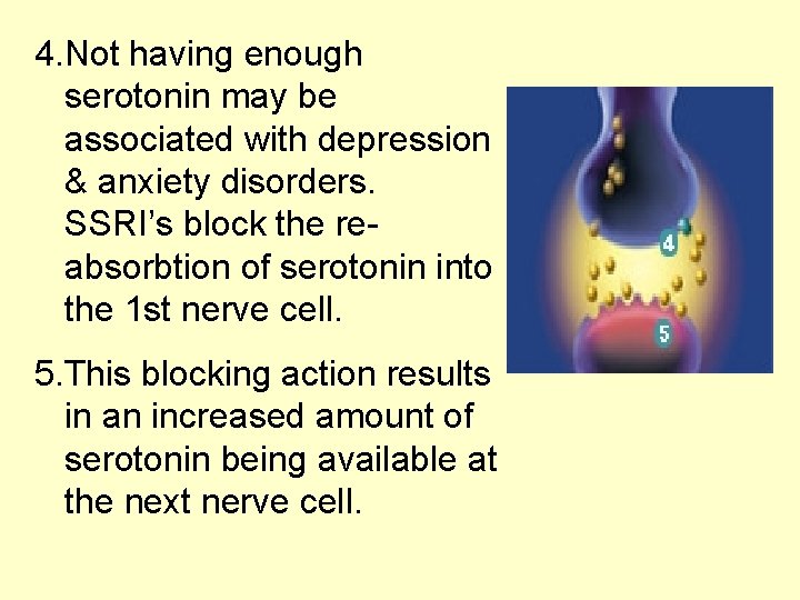 4. Not having enough serotonin may be associated with depression & anxiety disorders. SSRI’s