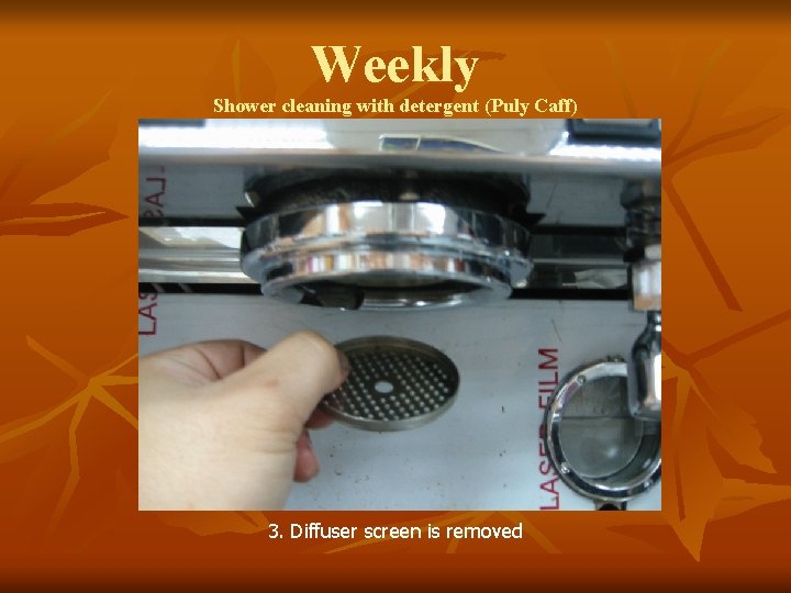 Weekly Shower cleaning with detergent (Puly Caff) 3. Diffuser screen is removed 