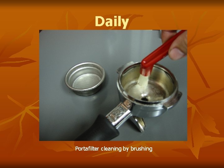 Daily Portafilter cleaning by brushing 