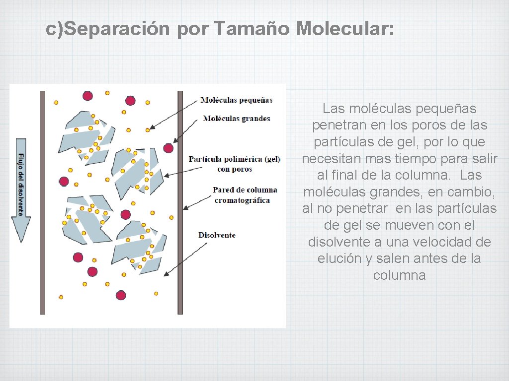 c)Separación por Tamaño Molecular: Las moléculas pequeñas penetran en los poros de las partículas