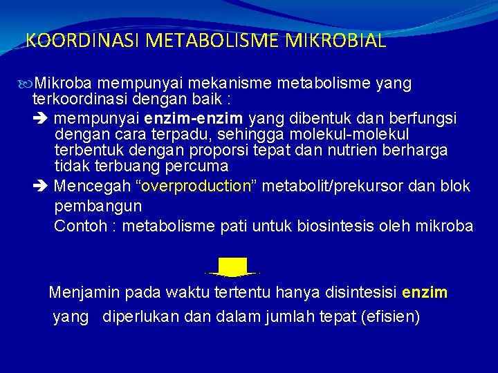 KOORDINASI METABOLISME MIKROBIAL Mikroba mempunyai mekanisme metabolisme yang terkoordinasi dengan baik : mempunyai enzim-enzim