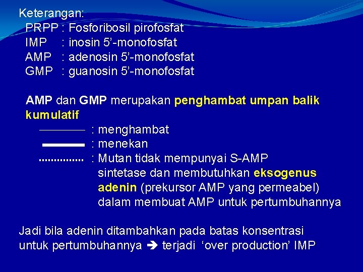 Keterangan: PRPP : Fosforibosil pirofosfat IMP : inosin 5’-monofosfat AMP : adenosin 5’-monofosfat GMP