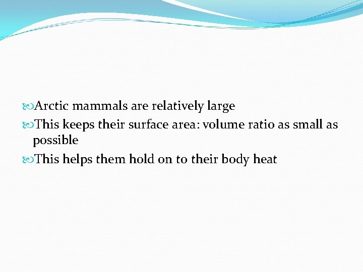  Arctic mammals are relatively large This keeps their surface area: volume ratio as