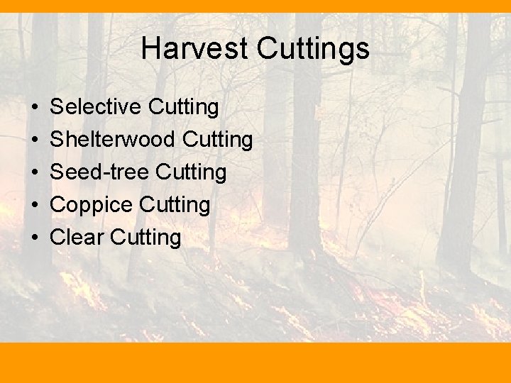 Harvest Cuttings • • • Selective Cutting Shelterwood Cutting Seed-tree Cutting Coppice Cutting Clear