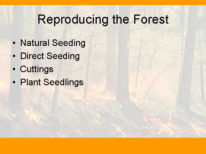 Reproducing the Forest • • Natural Seeding Direct Seeding Cuttings Plant Seedlings 