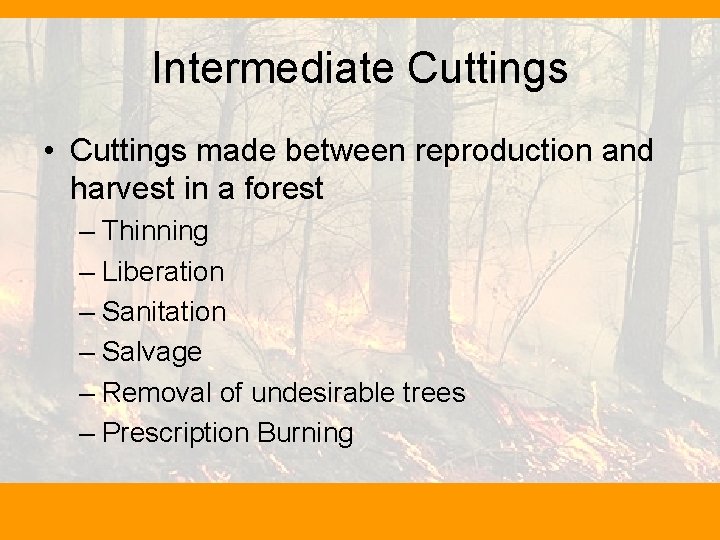 Intermediate Cuttings • Cuttings made between reproduction and harvest in a forest – Thinning