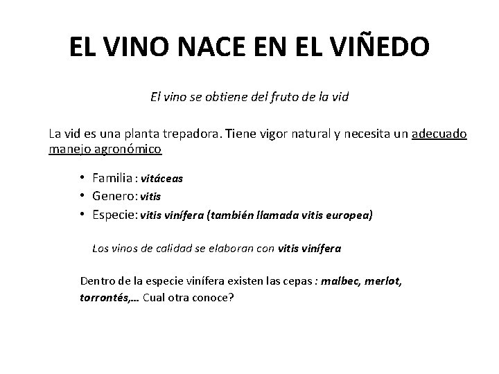 EL VINO NACE EN EL VIÑEDO El vino se obtiene del fruto de la