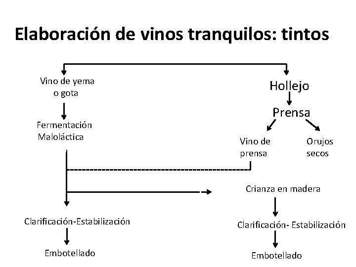 Elaboración de vinos tranquilos: tintos Vino de yema o gota Fermentación Hollejo Prensa Maloláctica