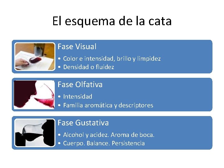 El esquema de la cata Fase Visual • Color e intensidad, brillo y limpidez