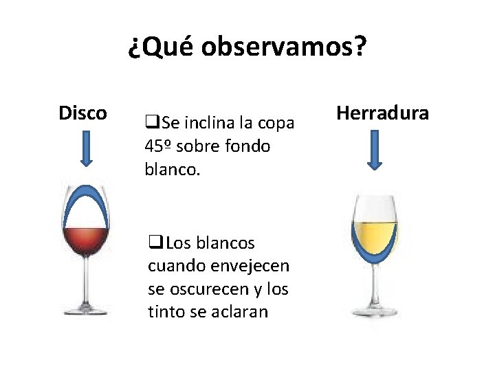 ¿Qué observamos? Disco q. Se inclina la copa 45º sobre fondo blanco. q. Los