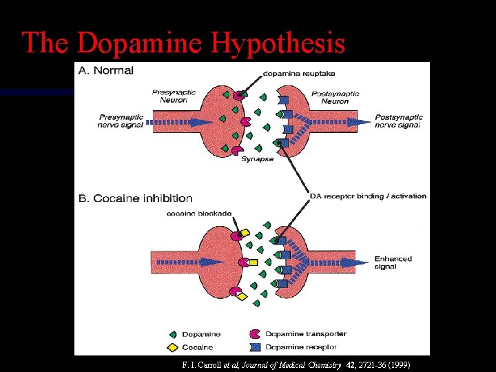 The Dopamine Hypothesis F. I. Carroll et al, Journal of Medical Chemistry 42, 2721