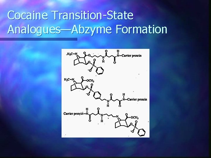 Cocaine Transition-State Analogues—Abzyme Formation 
