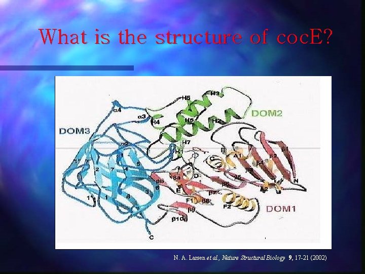 What is the structure of coc. E? N. A. Larsen et al. , Nature