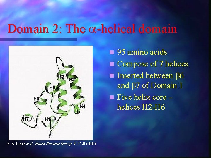 Domain 2: The -helical domain n n N. A. Larsen et al. , Nature