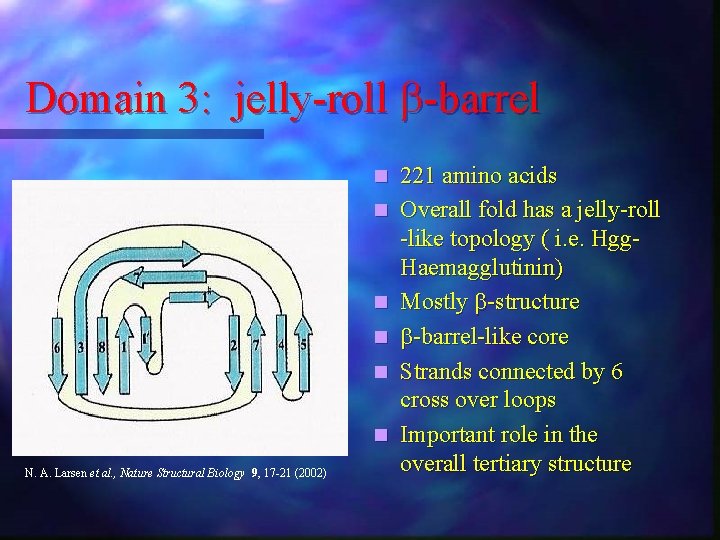 Domain 3: jelly-roll -barrel n n n N. A. Larsen et al. , Nature
