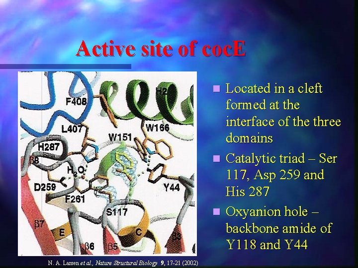 Active site of coc. E n n n N. A. Larsen et al. ,