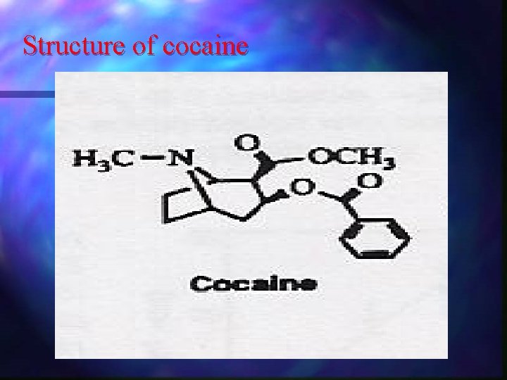 Structure of cocaine 