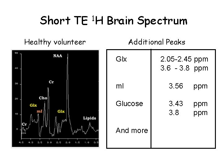 Short TE 1 H Brain Spectrum Healthy volunteer Additional Peaks Glx 2. 05 -2.