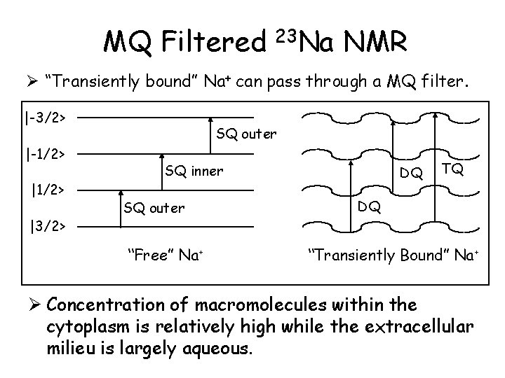 MQ Filtered 23 Na NMR Ø “Transiently bound” Na+ can pass through a MQ