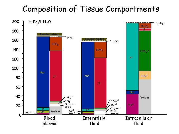 Composition of Tissue Compartments 200 m Eq/L H 2 O 180 HCO 3 Cl