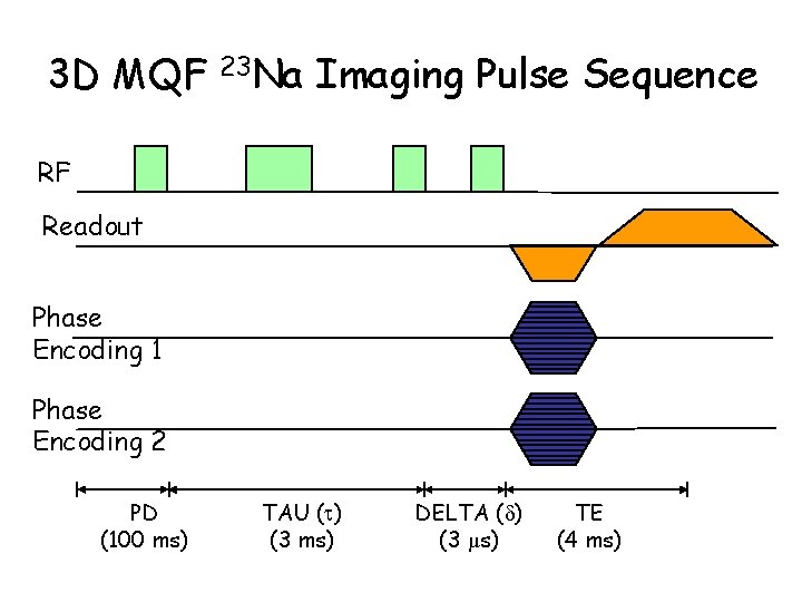 3 D MQF 23 Na Imaging Pulse Sequence RF Readout Phase Encoding 1 Phase