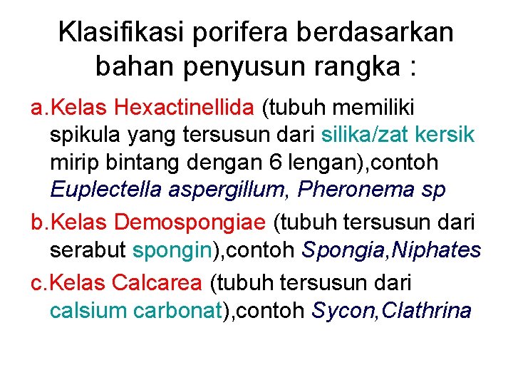 Klasifikasi porifera berdasarkan bahan penyusun rangka : a. Kelas Hexactinellida (tubuh memiliki spikula yang