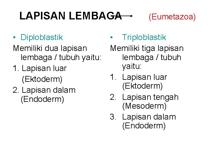 LAPISAN LEMBAGA • Diploblastik Memiliki dua lapisan lembaga / tubuh yaitu: 1. Lapisan luar