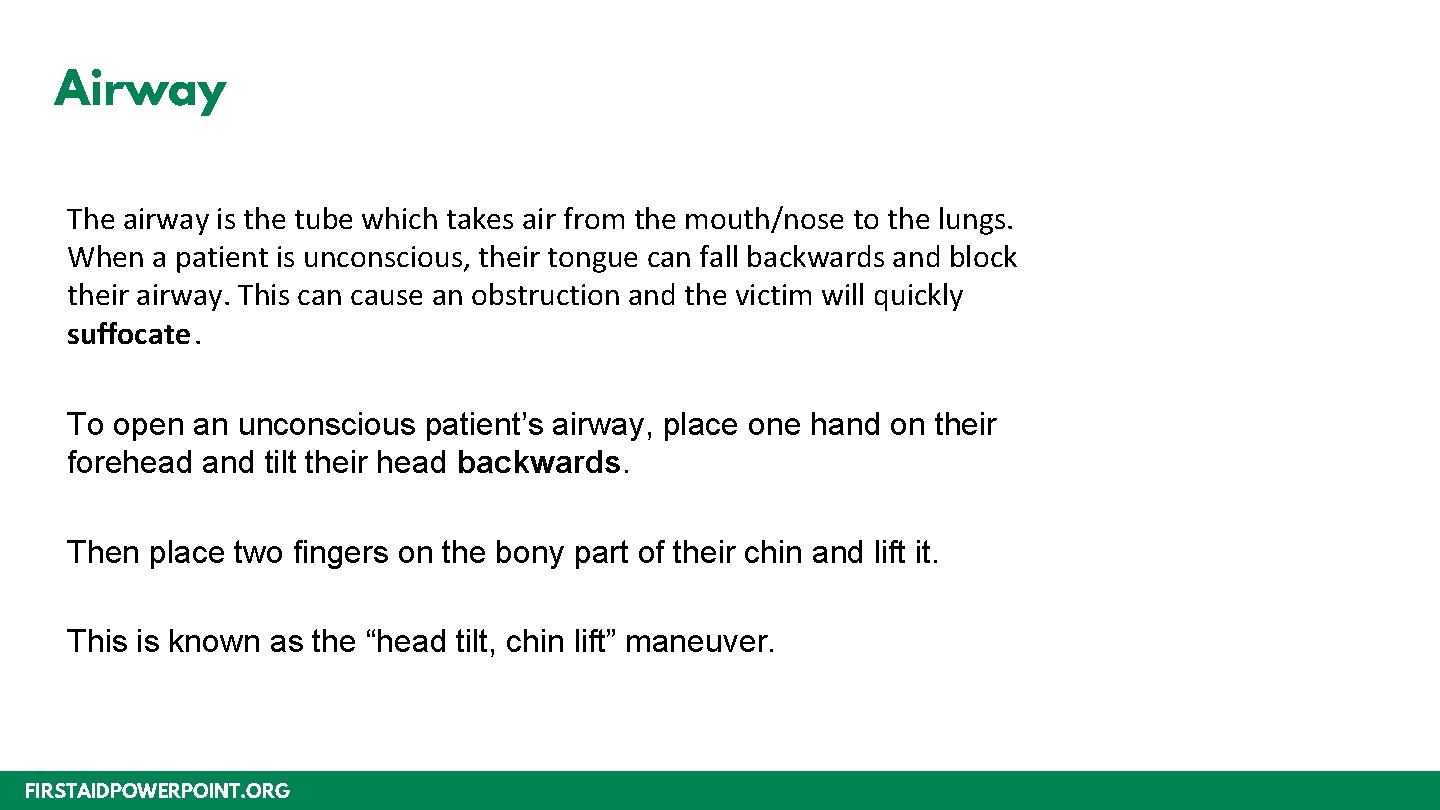 Airway The airway is the tube which takes air from the mouth/nose to the