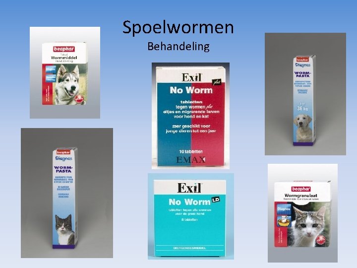 Spoelwormen Behandeling 