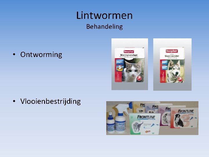 Lintwormen Behandeling • Ontworming • Vlooienbestrijding 